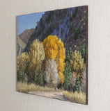 Original art for sale at UGallery.com | Fall Spectrum, Glenwood Canyon by Hugh Masterson | $1,075 | oil painting | 11.5' h x 19.5' w | thumbnail 2