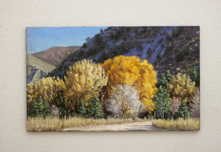 Fall Spectrum, Glenwood Canyon by Hugh Masterson |  Context View of Artwork 