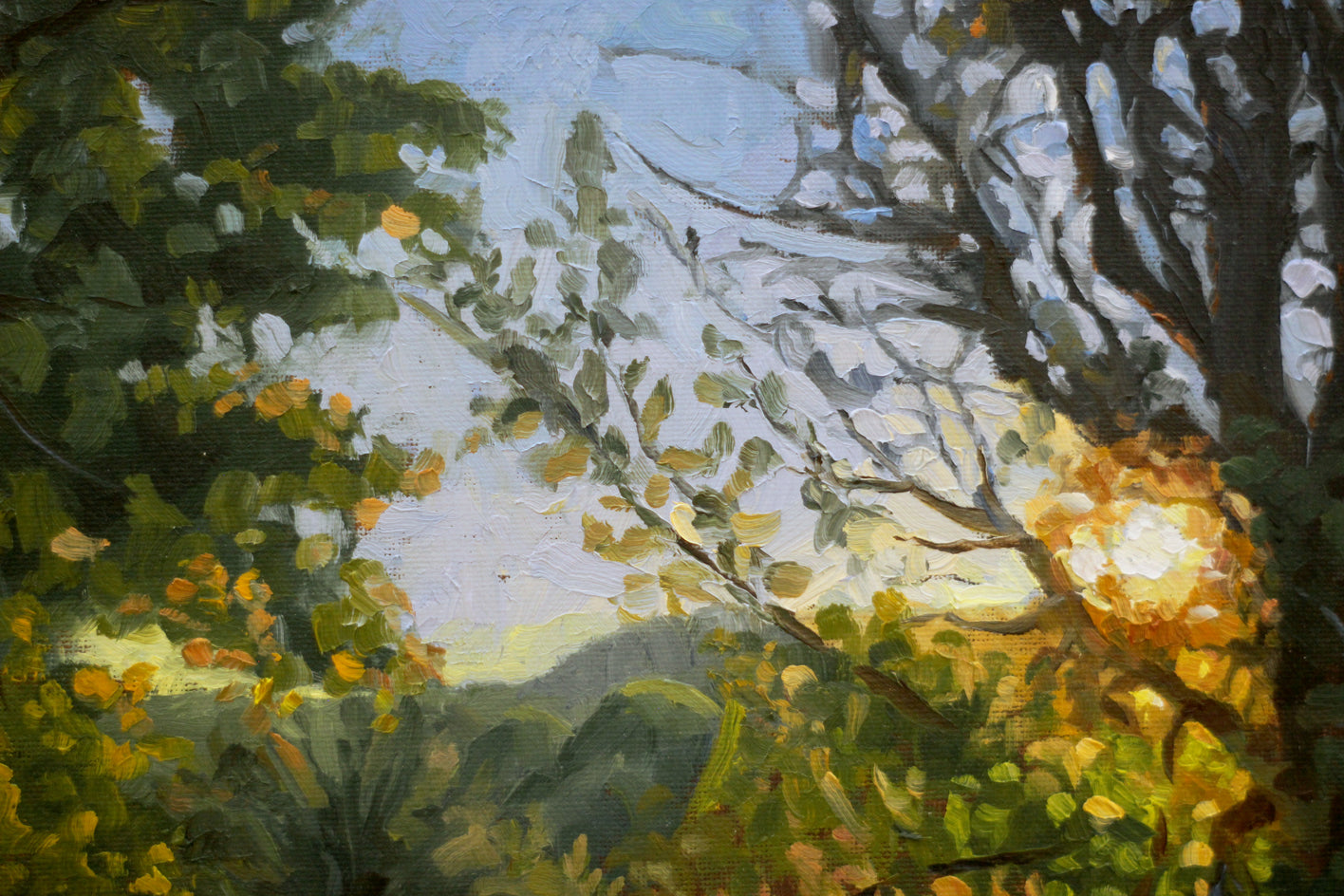 Morning Sentinels by Hugh Masterson |  Closeup View of Artwork 