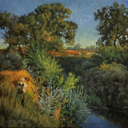 Sunrise, Denver Open Space by Hugh Masterson |  Artwork Main Image 