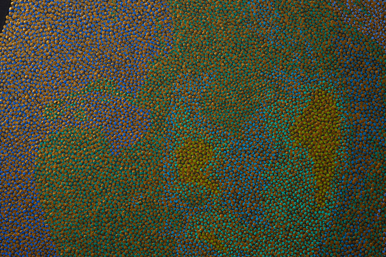 Portrait 25-6 by Hyoungseok Kim |   Closeup View of Artwork 