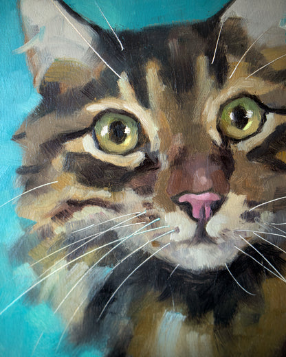 Curious Cat by Ilaria La Preziosa |   Closeup View of Artwork 