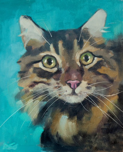 Curious Cat by Ilaria La Preziosa |  Artwork Main Image 