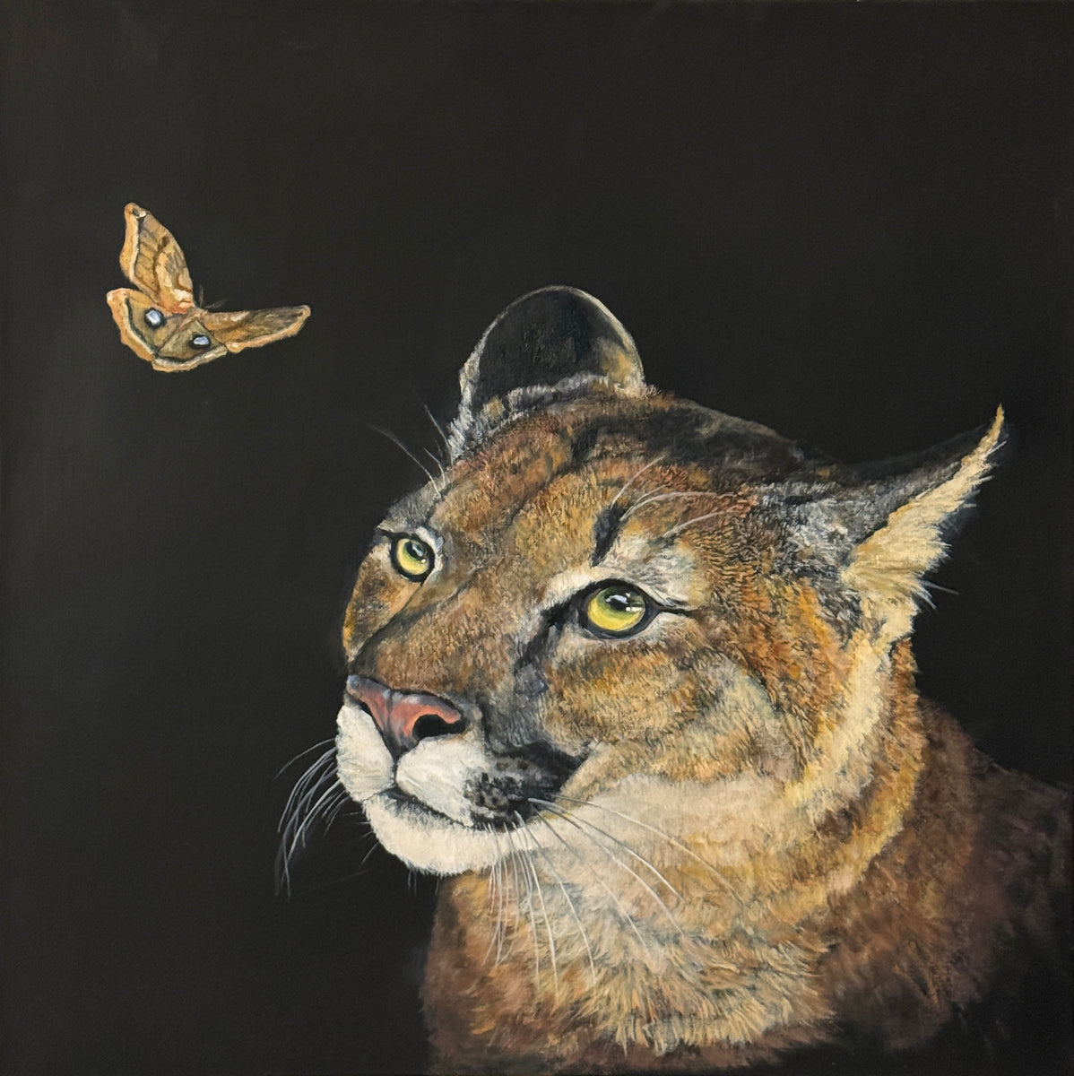  Main image of artist Jan Fontecchio Perley's artwork titled Cougar - Commission 
