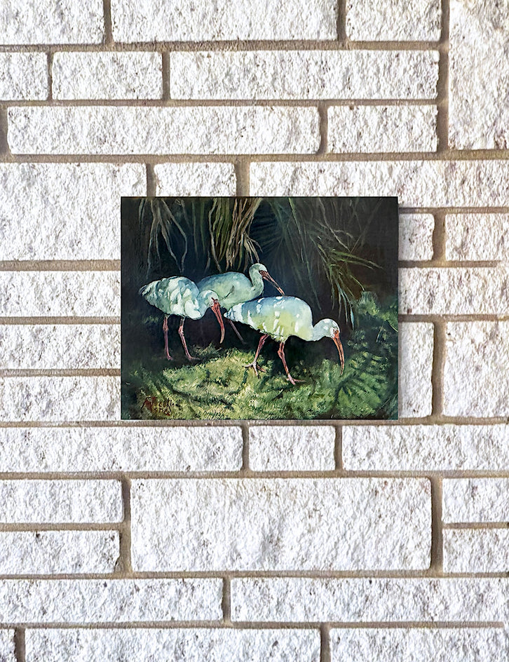 Ibis and Shadows by Jan Fontecchio Perley |  Context View of Artwork 