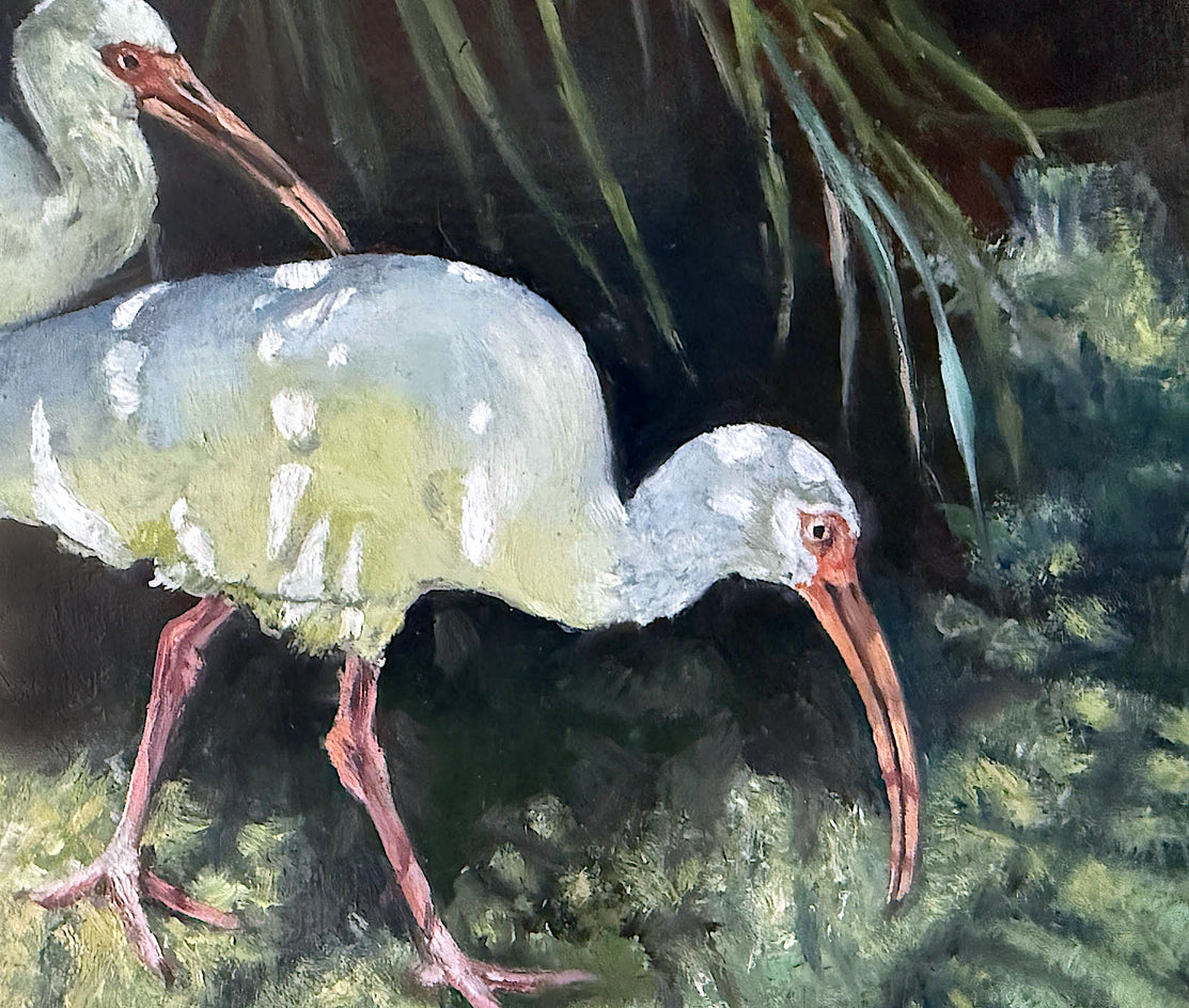 Ibis and Shadows by Jan Fontecchio Perley |  Closeup View of Artwork 