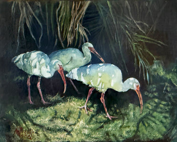 oil painting by Jan Fontecchio Perley titled Ibis and Shadows