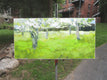 Original art for sale at UGallery.com | Spring Trees in the Grass by Janet Dyer | $675 | acrylic painting | 12' h x 24' w | thumbnail 3
