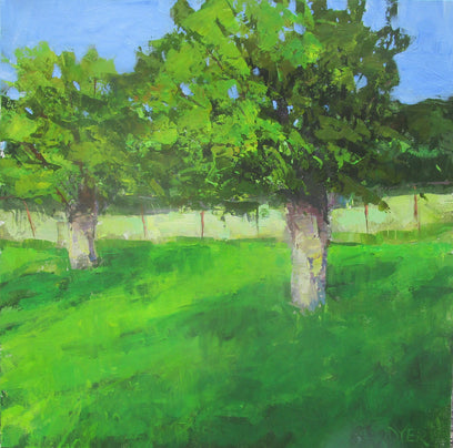 Trees in Sunlight by Janet Dyer | Artwork Main Image