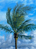 Original art for sale at UGallery.com | Caribbean Sky by Jay Jensen | $1,150 | oil painting | 16' h x 20' w | thumbnail 4