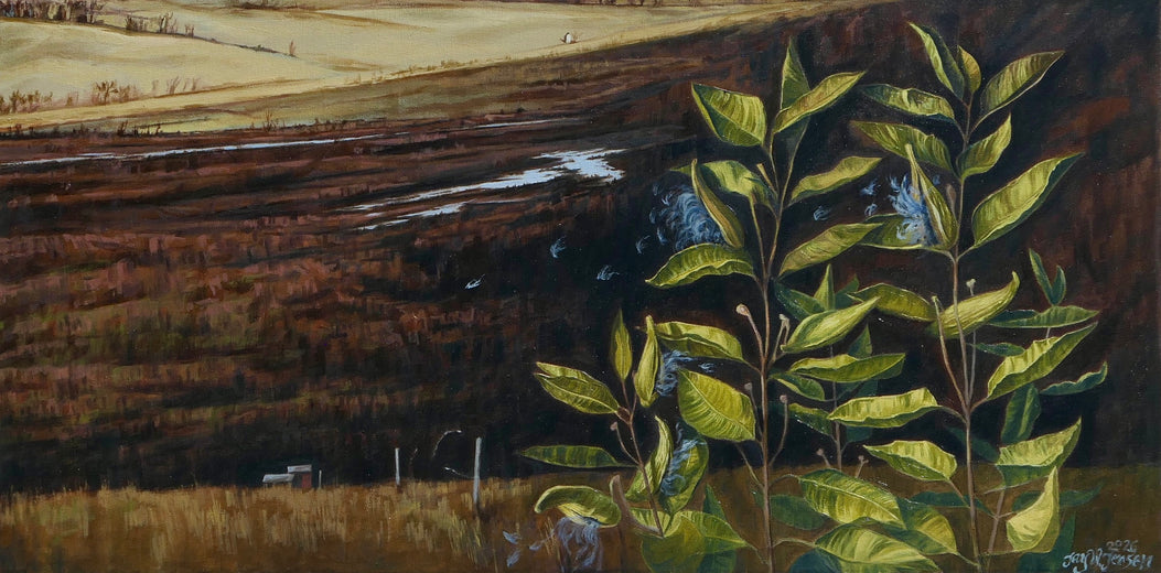 Milkweed Fall by Jay Jensen |  Artwork Main Image 
