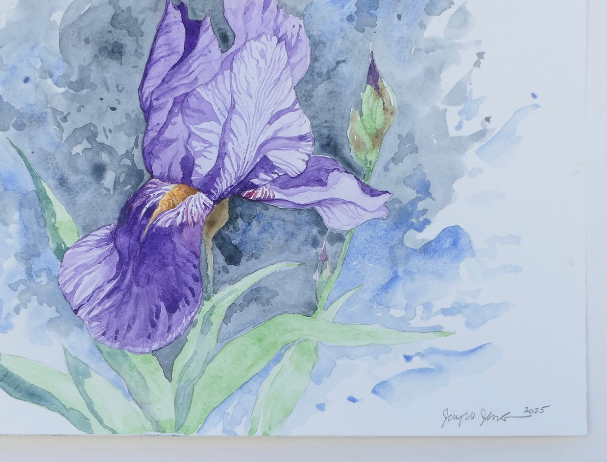 Purple Iris #1 by Jay Jensen |  Side View of Artwork 