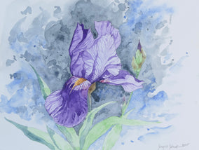 Original art for sale at UGallery.com | Purple Iris #1 by Jay Jensen | $575 | watercolor painting | 9' h x 12' w
