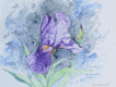 Original art for sale at UGallery.com | Purple Iris #1 by Jay Jensen | $575 | watercolor painting | 9' h x 12' w | thumbnail 1