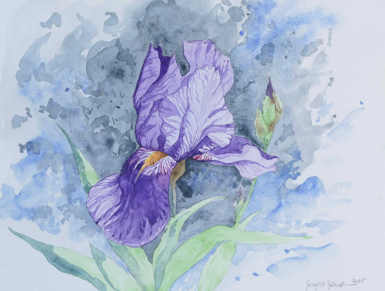 Purple Iris #1 by Jay Jensen |  Artwork Main Image 