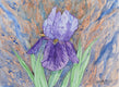 Original art for sale at UGallery.com | Purple Iris #2 by Jay Jensen | $575 | watercolor painting | 9' h x 12' w | thumbnail 1