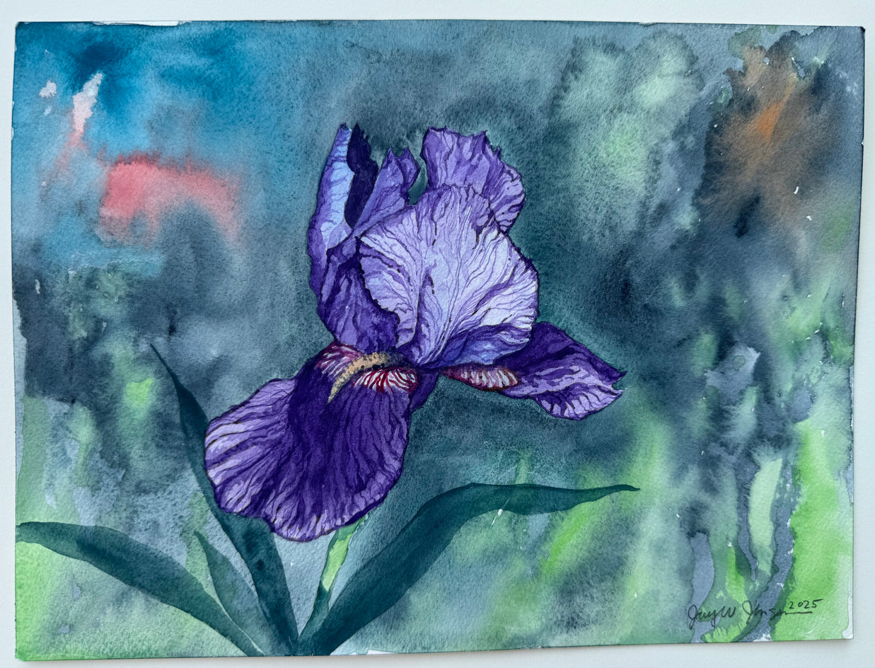 Purple Iris #3 by Jay Jensen |  Context View of Artwork 