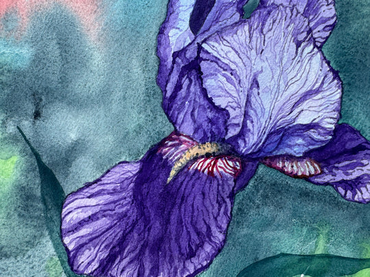 Purple Iris #3 by Jay Jensen |  Closeup View of Artwork 