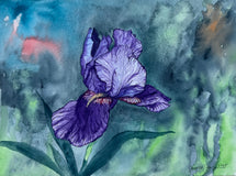Original art for sale at UGallery.com | Purple Iris #3 by Jay Jensen | $575 | watercolor painting | 9' h x 12' w | thumbnail 1