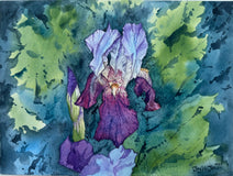 Original art for sale at UGallery.com | Purple Iris #4 by Jay Jensen | $575 | watercolor painting | 9' h x 12' w | thumbnail 1