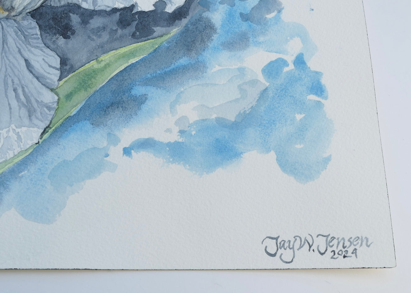 White Iris by Jay Jensen |  Side View of Artwork 