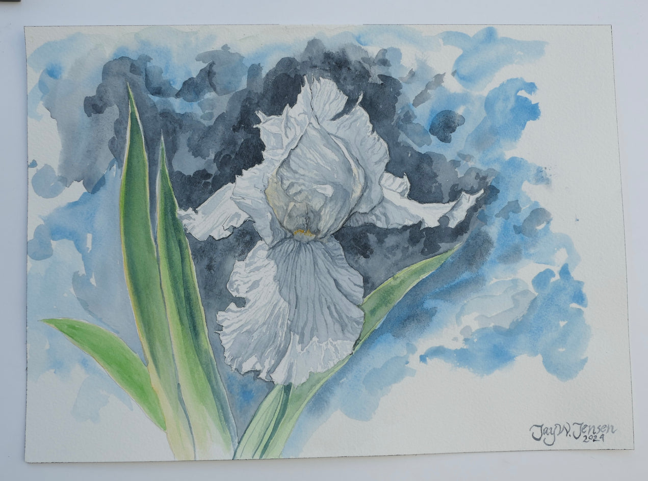 White Iris by Jay Jensen |  Context View of Artwork 