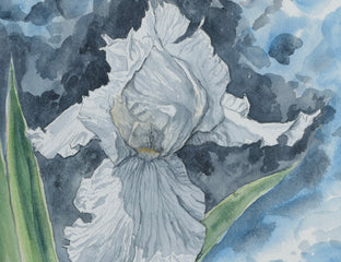 White Iris by Jay Jensen |   Closeup View of Artwork 