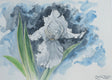 Original art for sale at UGallery.com | White Iris by Jay Jensen | $575 | watercolor painting | 9' h x 12' w | thumbnail 1