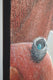 Original art for sale at UGallery.com | Someone to Watch Over by Jennifer Ross | $2,175 | mixed media artwork | 40' h x 30' w | thumbnail 2