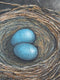 Original art for sale at UGallery.com | Stay in the Nest by Jennifer Ross | $475 | mixed media artwork | 14' h x 11' w | thumbnail 4