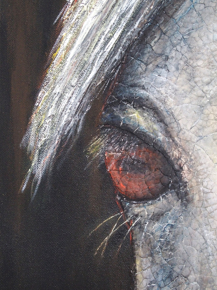 The Horse Whisperer by Jennifer Ross |  Closeup View of Artwork 