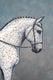 Original art for sale at UGallery.com | When a White Horse Is Not a Horse by Jennifer Ross | $2,575 | mixed media artwork | 36' h x 40' w | thumbnail 4