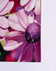 Original art for sale at UGallery.com | Mini Daisies in Many Pinks by Jinny Tomozy | $1,200 | watercolor painting | 14' h x 20' w | thumbnail 2