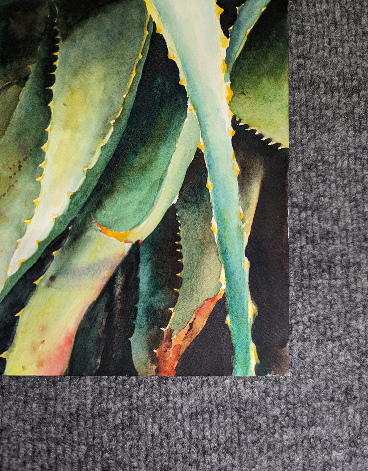 Blooming Succulents by Jinny Tomozy |  Side View of Artwork 