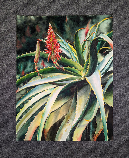 Blooming Succulents by Jinny Tomozy |  Context View of Artwork 