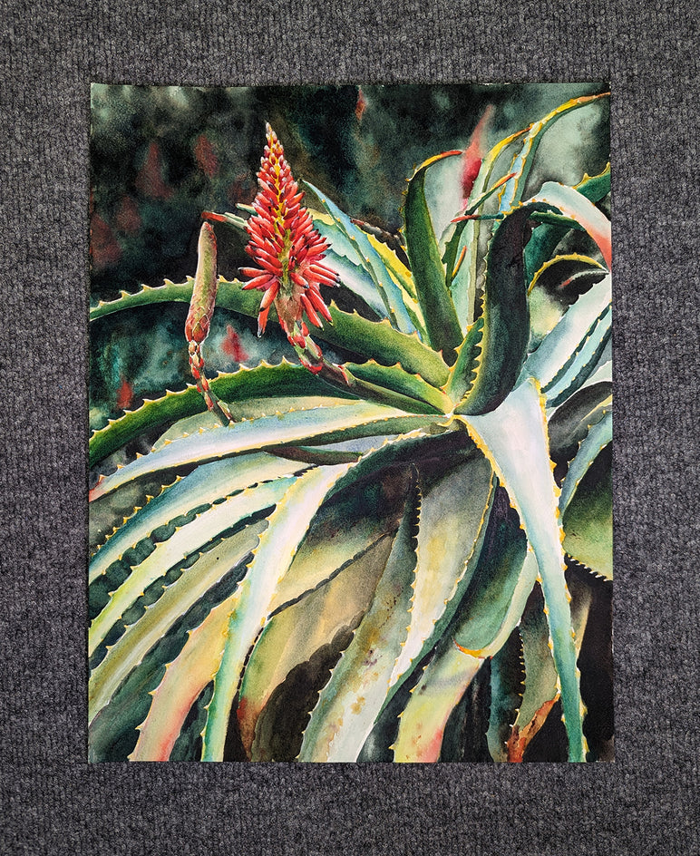 Blooming Succulents by Jinny Tomozy |  Context View of Artwork 