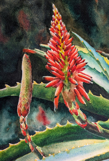 Blooming Succulents by Jinny Tomozy |   Closeup View of Artwork 