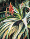 Original art for sale at UGallery.com | Blooming Succulents by Jinny Tomozy | $975 | watercolor painting | 16' h x 12' w | thumbnail 1