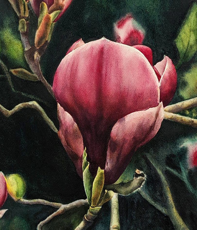 Crimson Magnolias by Jinny Tomozy |  Closeup View of Artwork 