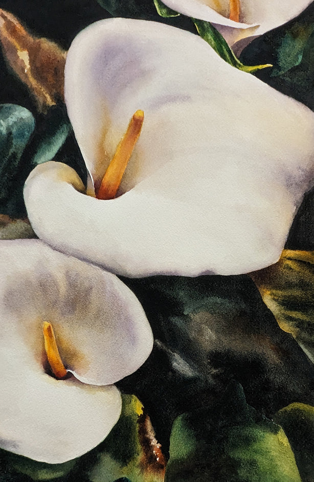 Lily Quartet by Jinny Tomozy |  Closeup View of Artwork 