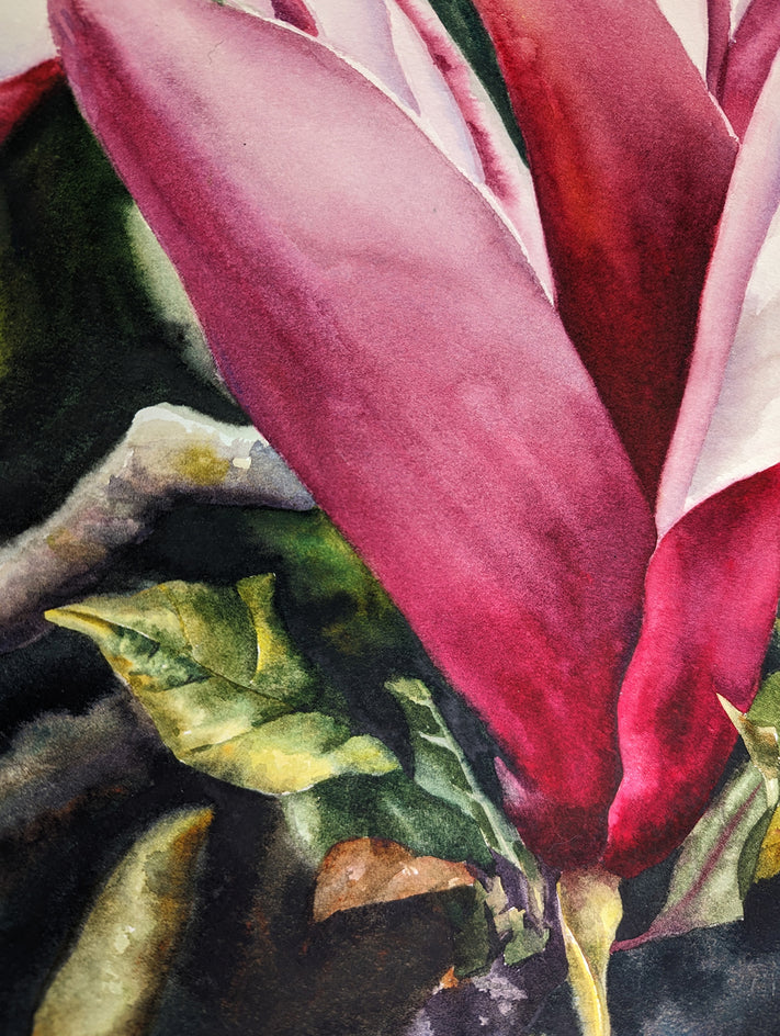 Moody Magnolias by Jinny Tomozy |  Closeup View of Artwork 