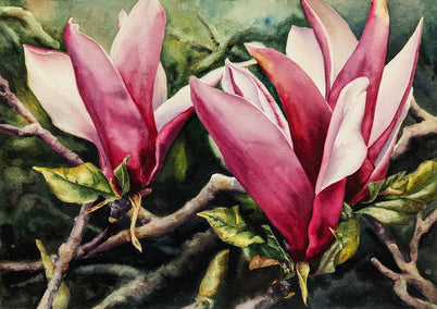 watercolor painting by Jinny Tomozy titled Moody Magnolias