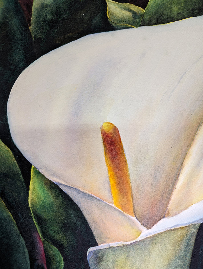 Portrait of a Lily by Jinny Tomozy |  Closeup View of Artwork 