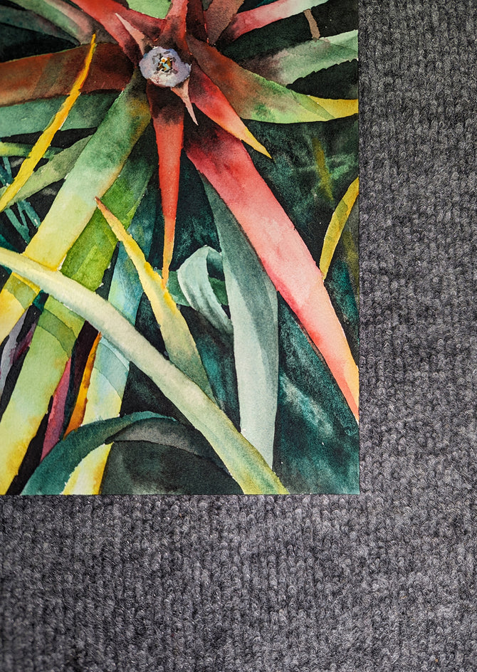 Rainbow Succulents by Jinny Tomozy |  Side View of Artwork 