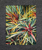Original art for sale at UGallery.com | Rainbow Succulents by Jinny Tomozy | $975 | watercolor painting | 16' h x 12' w | thumbnail 3