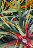 Original art for sale at UGallery.com | Rainbow Succulents by Jinny Tomozy | $975 | watercolor painting | 16' h x 12' w | thumbnail 4