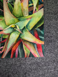 Original art for sale at UGallery.com | Succulent Stars by Jinny Tomozy | $975 | watercolor painting | 16' h x 12' w | thumbnail 2