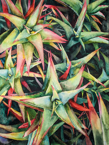 watercolor painting by Jinny Tomozy titled Succulent Stars