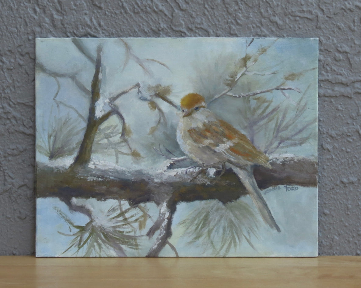Chipping Sparrow in Early Winter by Joanie Ford |  Context View of Artwork 