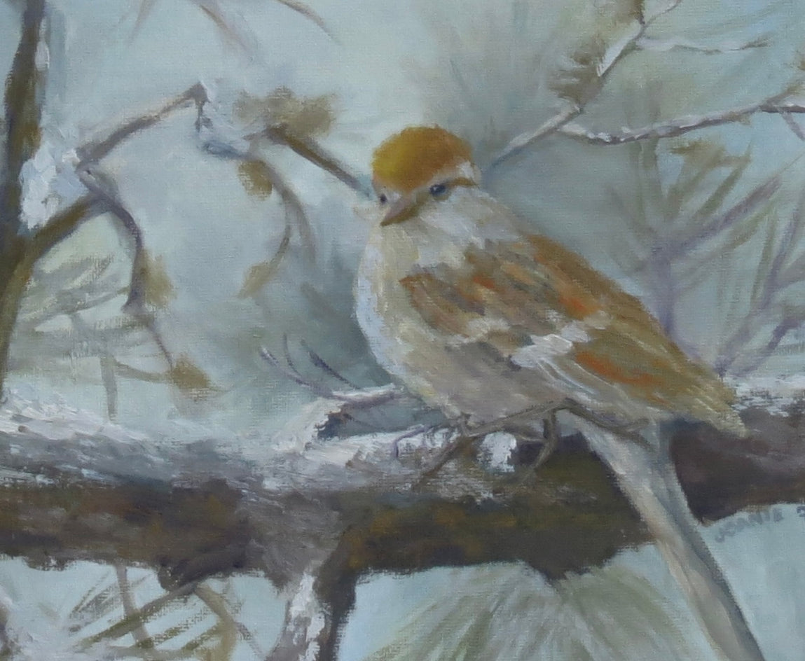 Chipping Sparrow in Early Winter by Joanie Ford |  Closeup View of Artwork 